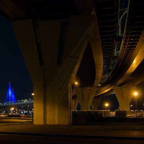 Photo #11641215