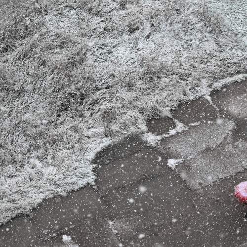 Photo #11641767