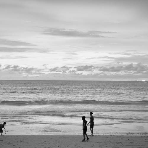 Photo #11641950