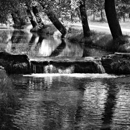Photo #11642300