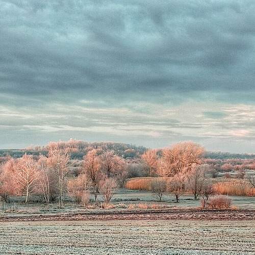 Photo #11642653