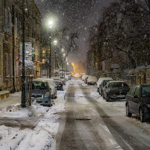 Photo #11642661