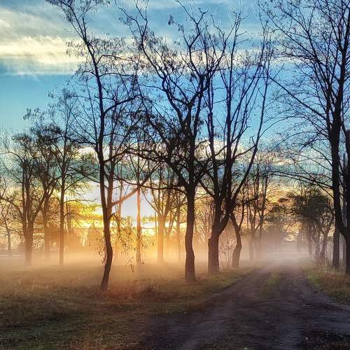 Photo #11642683