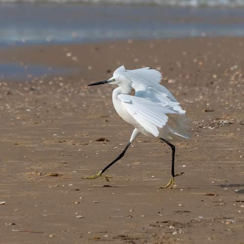 Photo #11642751