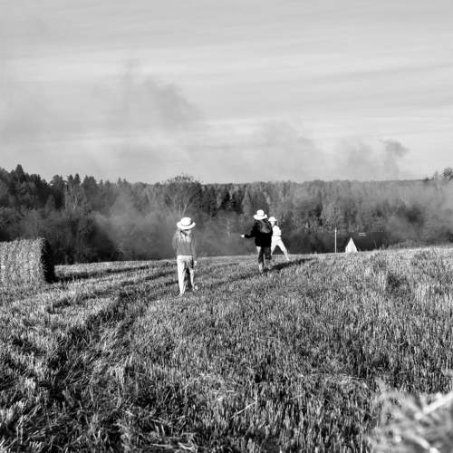 Photo #11642805