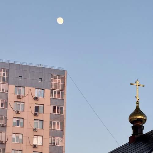 Photo #11642822