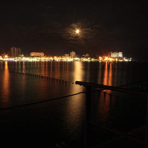 Photo #11642841