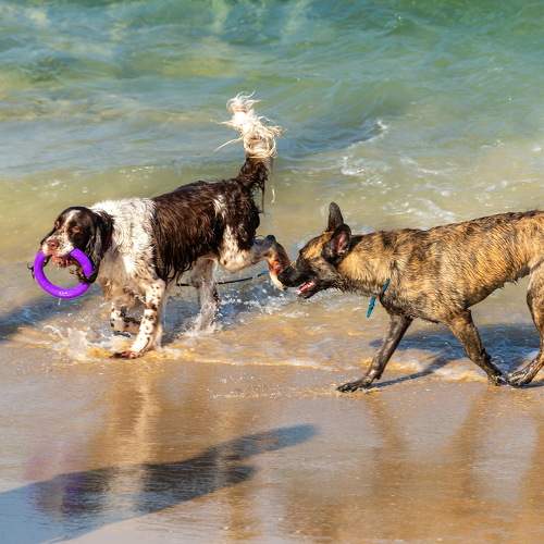 Photo #11643244