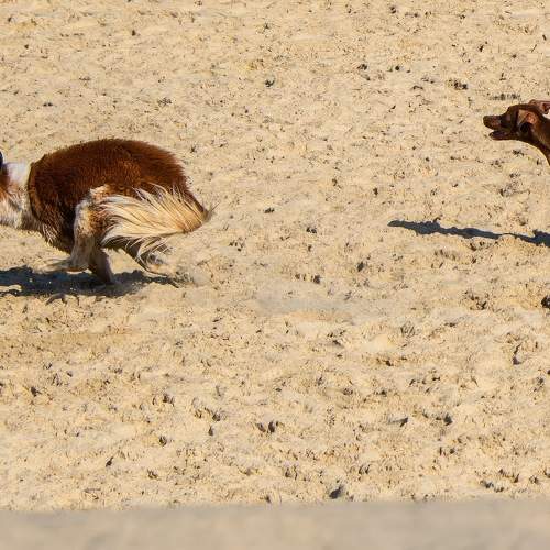 Photo #11643251