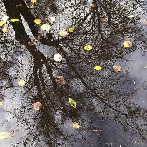 Photo #11643358
