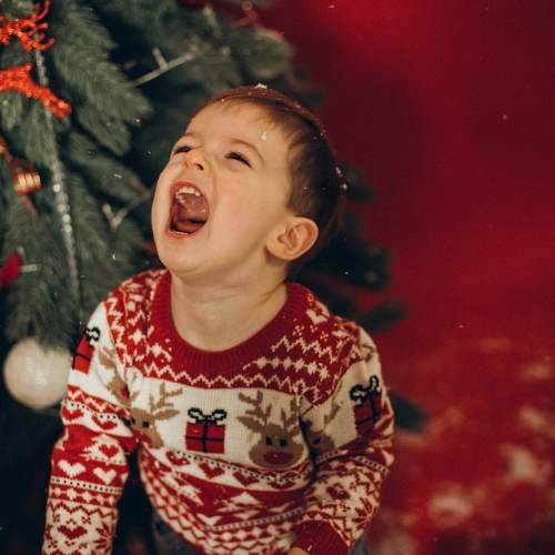 Photo #11643522