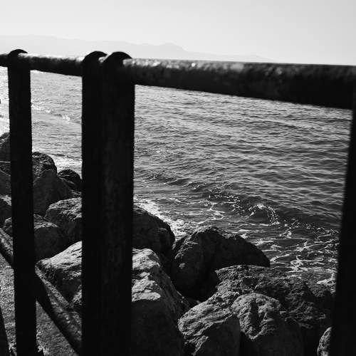 Photo #11643540