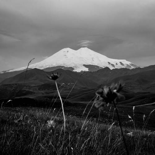 Photo #11643639