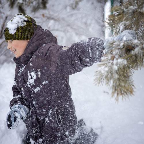 Photo #11643791