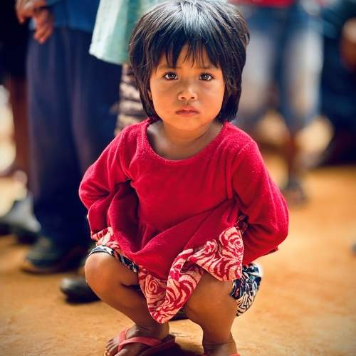 Photo #11644122