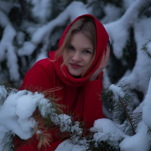 Photo #11644205