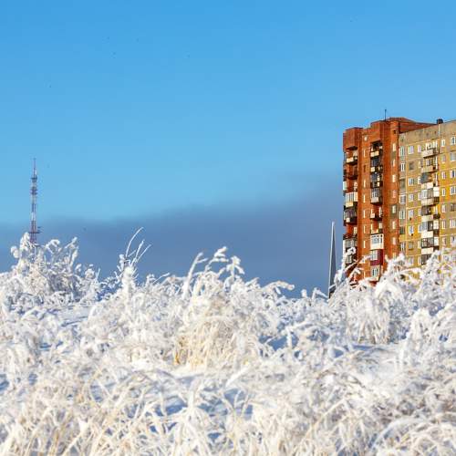 Photo #11644619