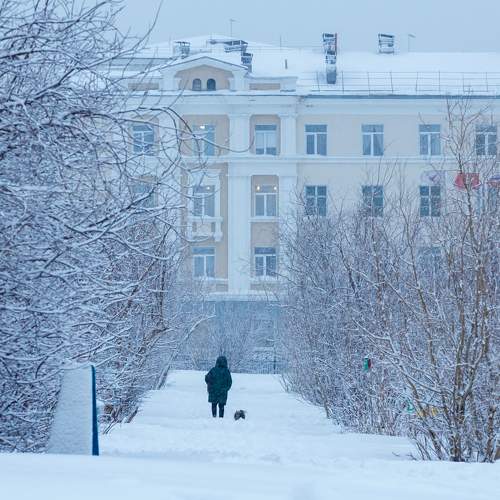 Photo #11644624