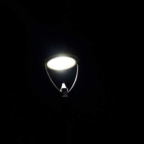 Photo #11644727