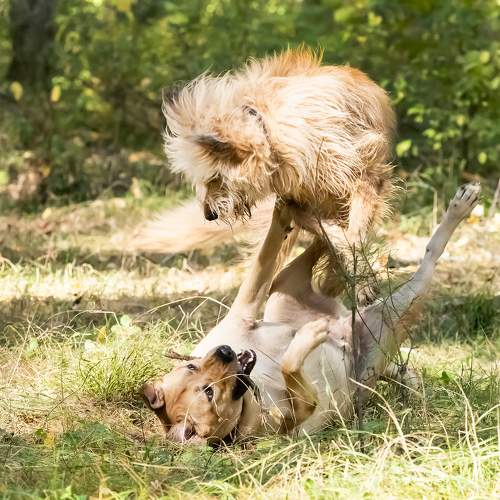 Photo #11644980