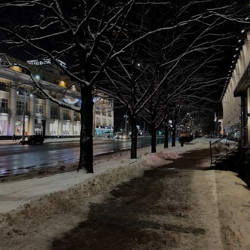 Photo #11645038