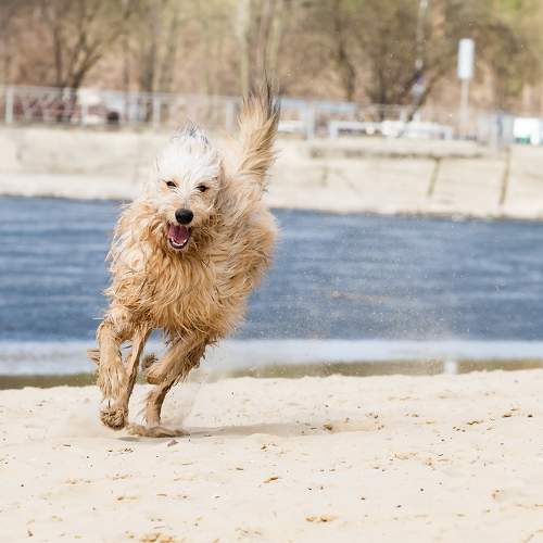 Photo #11645066