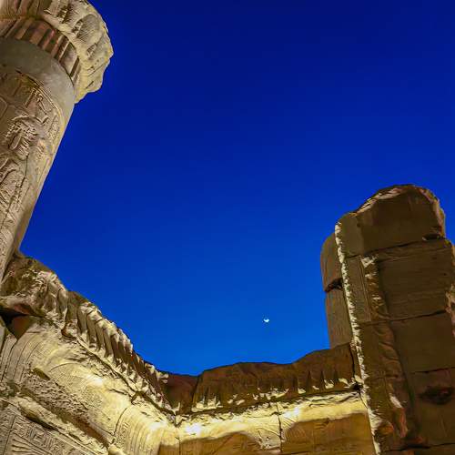 Photo #11645443