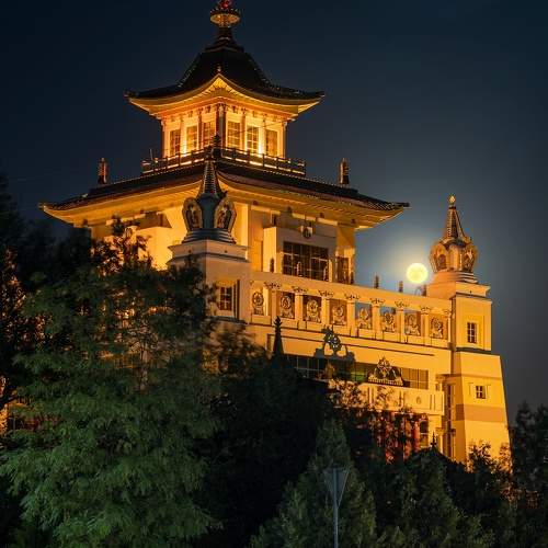 Фотография #11645494