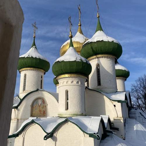 Photo #11645560