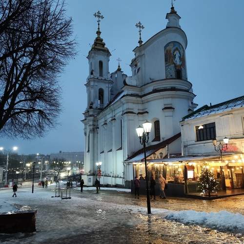 Photo #11645565