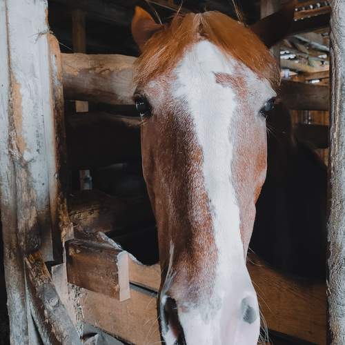 Photo #11645787