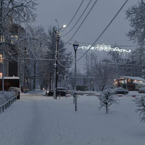Photo #11645854