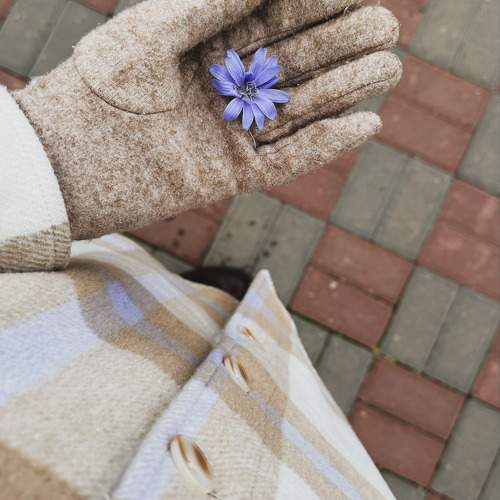 Photo #11646053