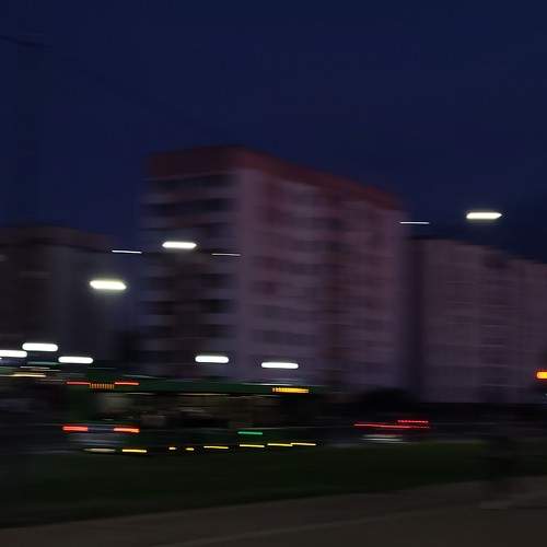 Photo #11646233