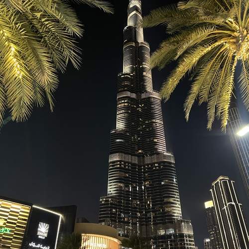 Photo #11646550