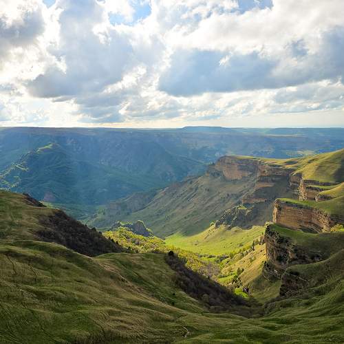 Photo #11646566