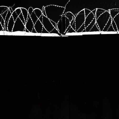 Фотография #11646661