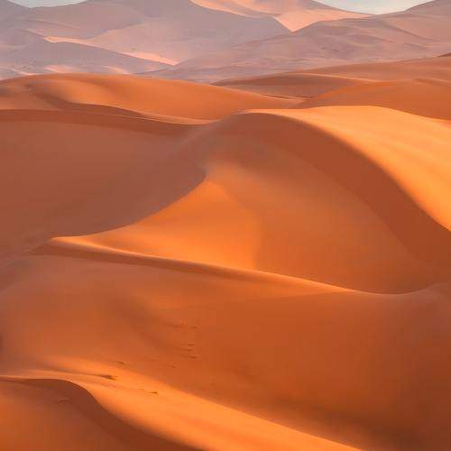 Photo #11646721