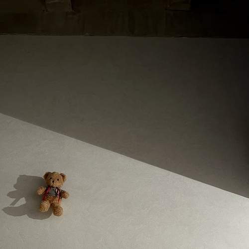 Photo #11646889
