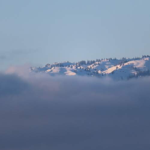 Photo #11647002