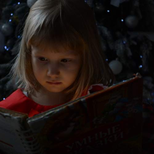 Photo #11647175
