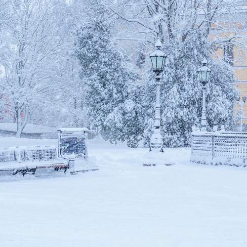 Photo #11647270