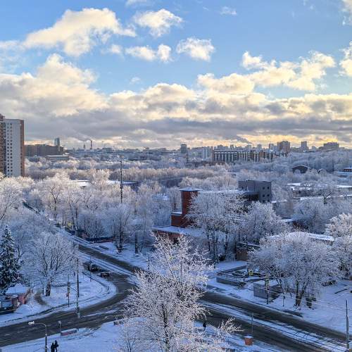 Photo #11647308