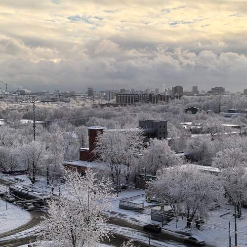 Photo #11647310