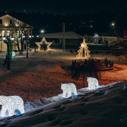 Photo #11647451