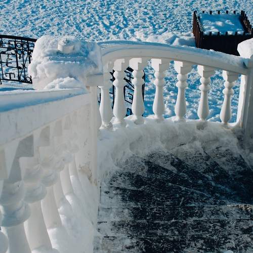 Photo #11647460
