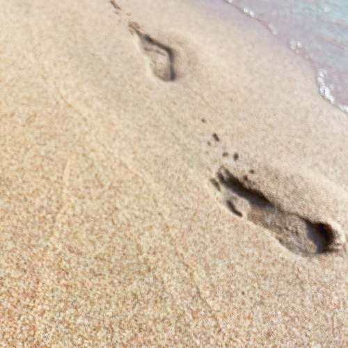 Photo #11647798