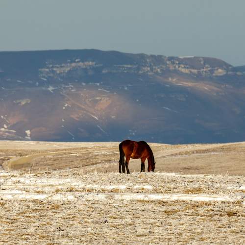 Photo #11647917