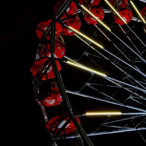 Photo #11648147