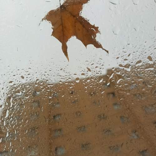 Photo #11648184
